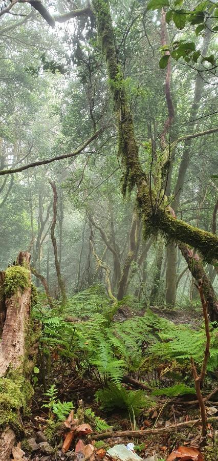 Casa Rural El Puente Taganana Exteriér fotografie